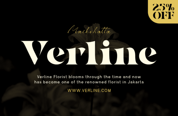 Nolex Font font preview - 2