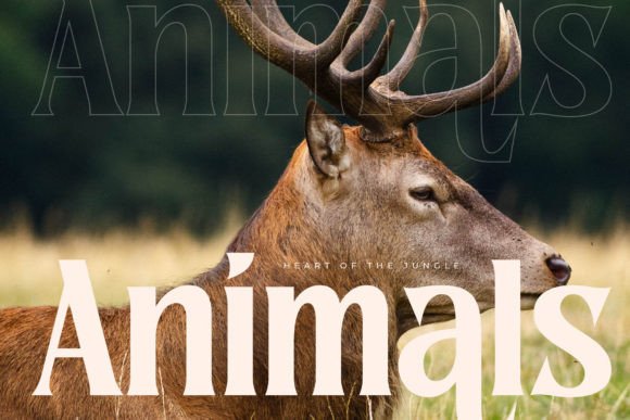 Norique Font PNG with transparent background - Preview 1