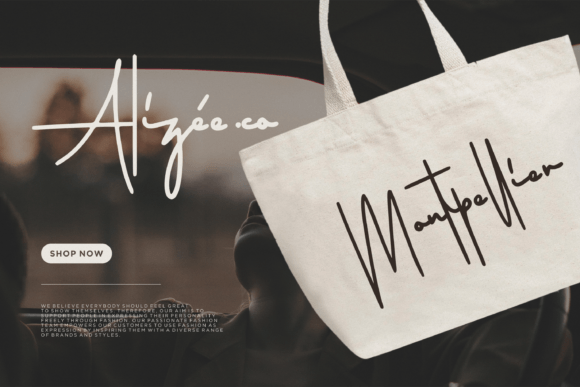Austryan Signature Font - Preview 5