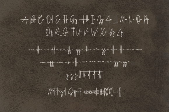 Austryan Signature Font - Preview 6