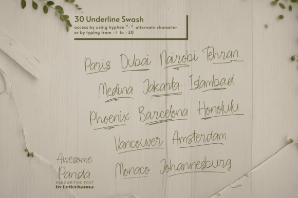 Awesome Panda Font - Preview 4