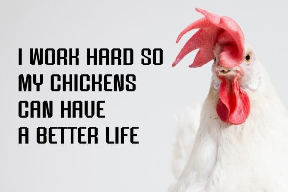 Chicken Stickers Font - Preview 1