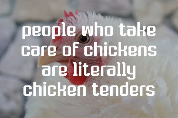 Chicken Stickers Font - Preview 2
