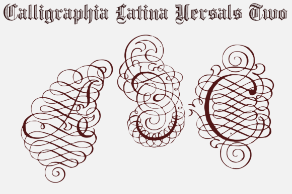 Calligraphia Latina Versals Two Font - Preview 2