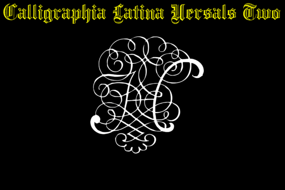 Calligraphia Latina Versals Two Font - Preview 4