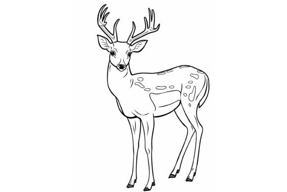 Deer Coloring Page for Adults