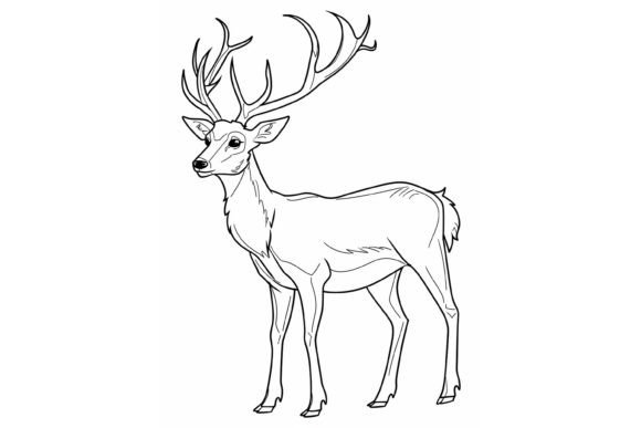Deer Coloring Page for Adults