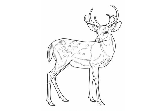 Deer Coloring Page for Adults