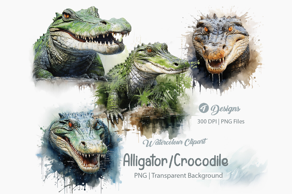 Alliigator Clipart, PNG Bundle Graphic by Creationx Space · Creative ...