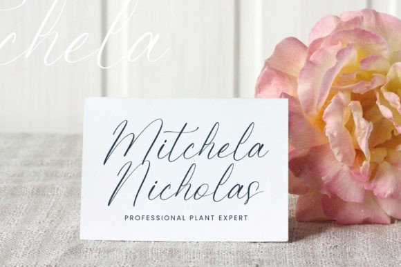 Petalip Orchid Font PNG with transparent background - Preview 3