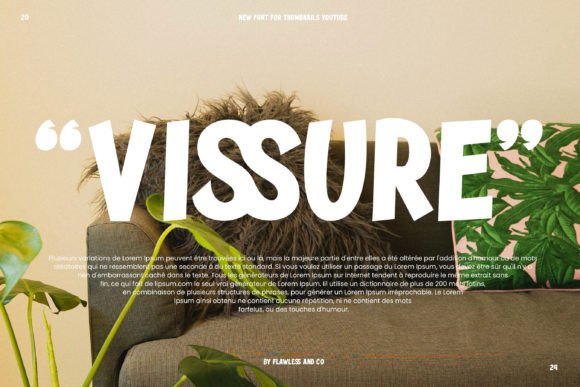 Brela Font - Preview 3