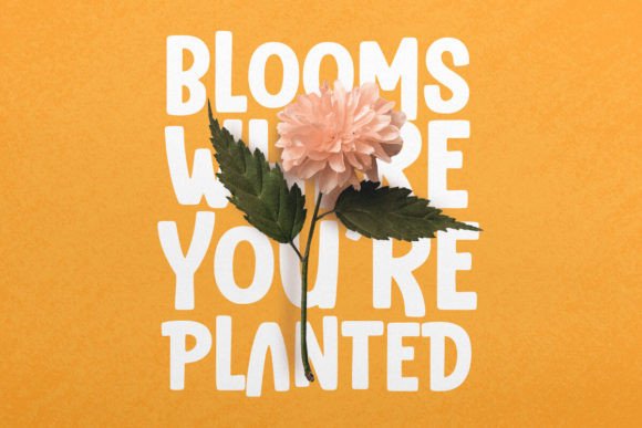 Dreambox Font PNG with transparent background - Preview 4