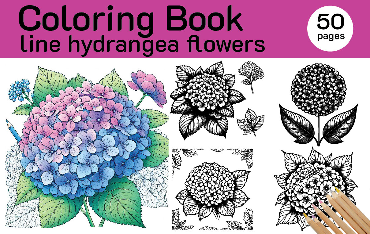 Line Hydrangea Flowers 50 Graphic by Nad July Studio · Creative Fabrica