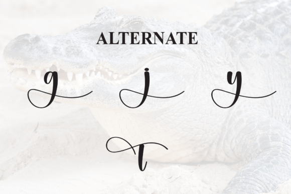 Aligator Font - Preview 6