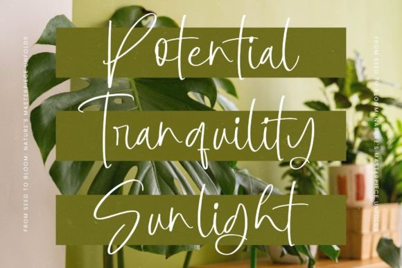 Botany Centers Font - Preview 4