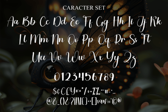 Butterfly Font - Preview 4