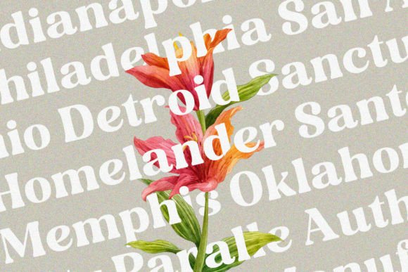 Folker Font - Preview 2
