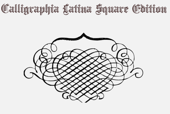 Calligraphia Latina Square Edition Font - Preview 2