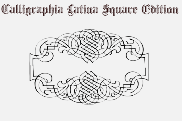 Calligraphia Latina Square Edition Font - Preview 3
