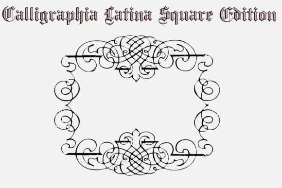 Calligraphia Latina Square Edition Font - Preview 4