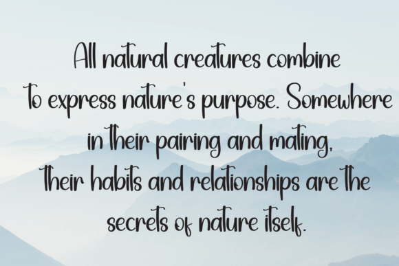 Capital Font - Preview 5