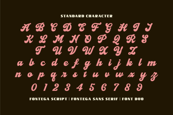 Fontega Duo Font - Preview 1