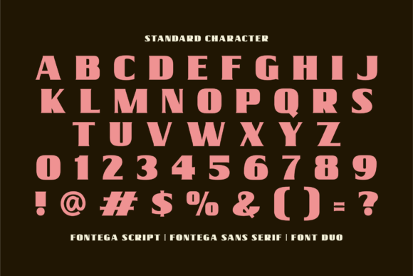 Fontega Duo Font - Preview 2