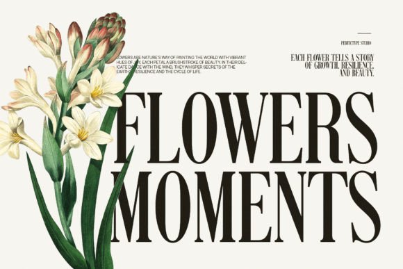Magnisa Font PNG with transparent background - Preview 1