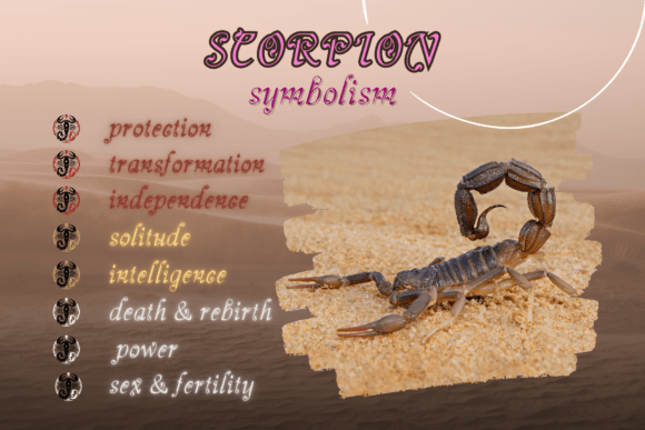 Scorpion Tail Font PNG with transparent background - Preview 1