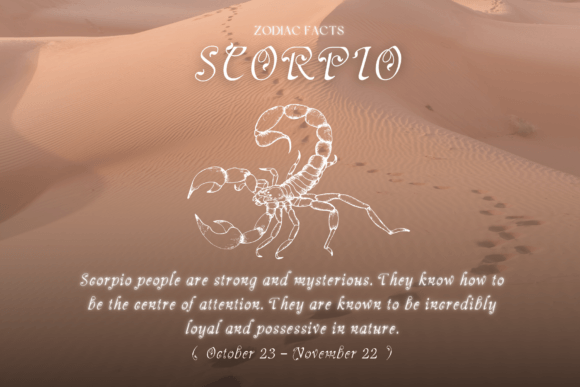 Scorpion Tail Font PNG with transparent background - Preview 2