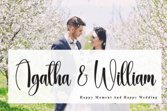Smoothie Bride Font PNG with transparent background - Preview 1