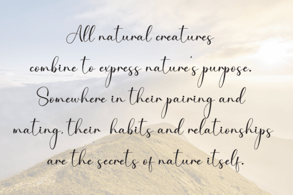 Angelina Signature Font - Preview 5