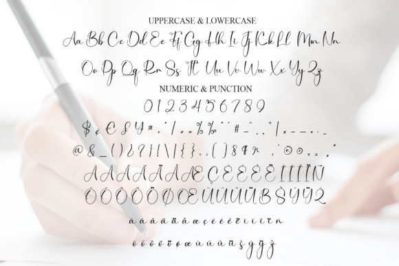 Angelina Signature Font - Preview 6