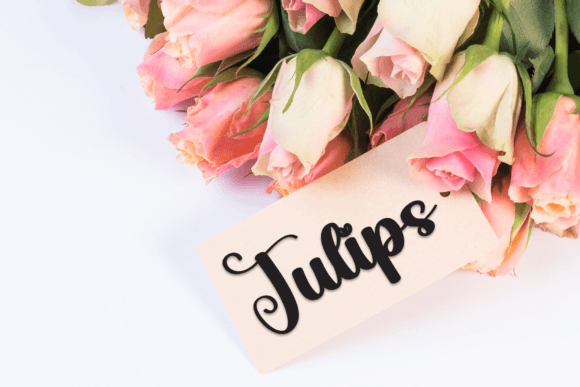 Barbie Daily Font - Preview 4