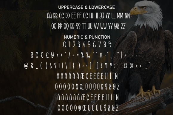 Black Eagle Font - Preview 6