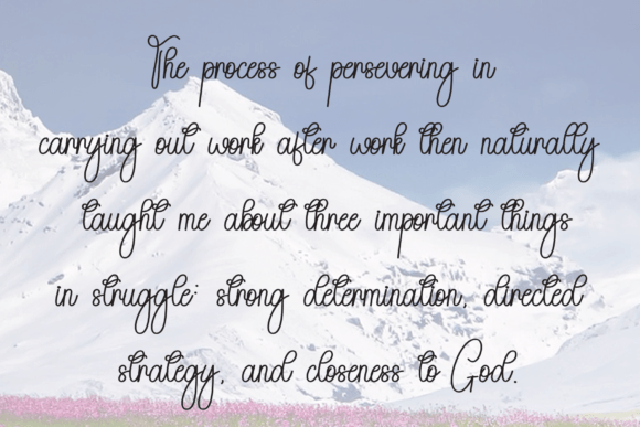 Bride Font - Preview 5