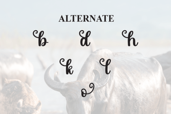 Buffalo Font - Preview 6