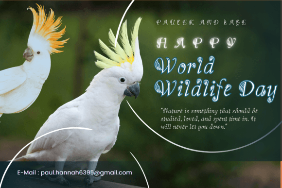 Cockatoo Hair Font - Preview 1