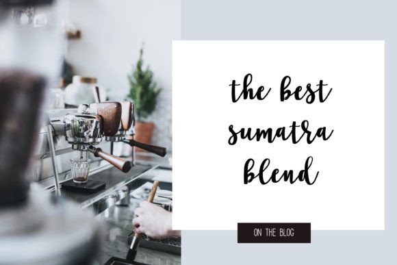Coffee Shop Script Font - Preview 1