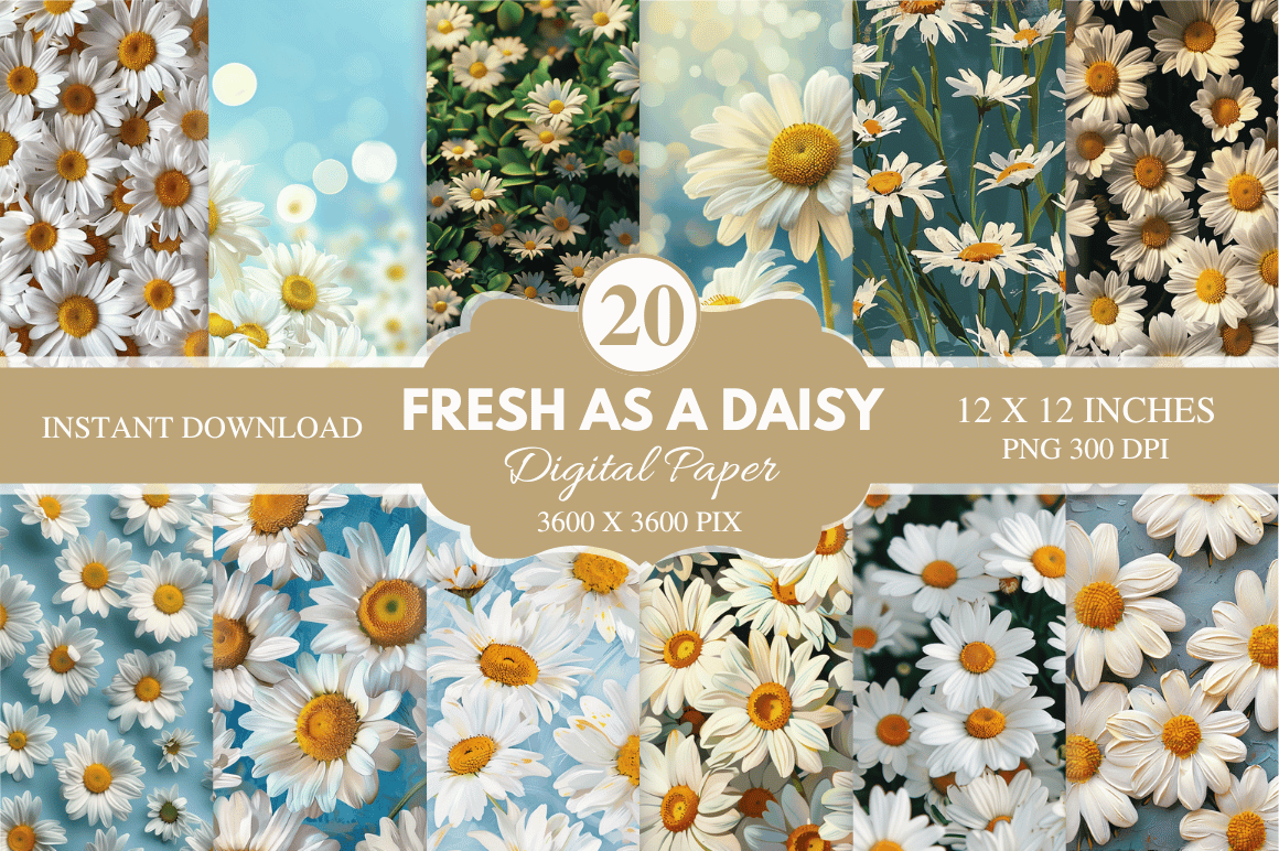 Fresh As a Daisy Digital Paper Bundle Graphic by Regulrcrative ...