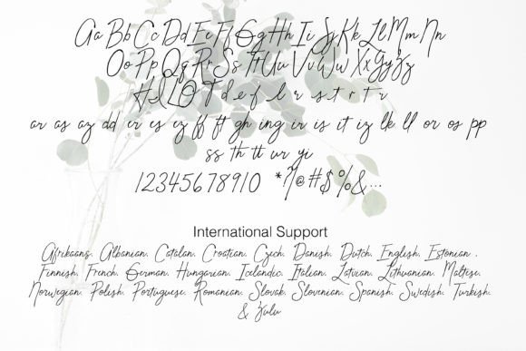 Julie's Pen Font PNG with transparent background - Preview 1