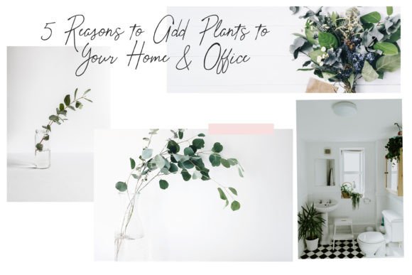 Julie's Pen Font PNG with transparent background - Preview 3