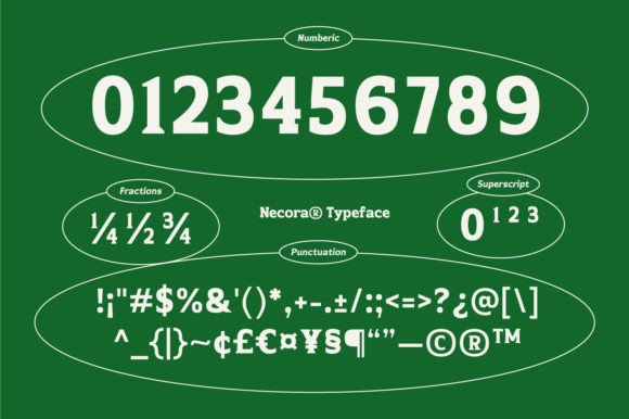 Necora Font PNG with transparent background - Preview 4