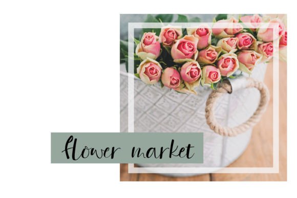Pure Blush Font PNG with transparent background - Preview 5