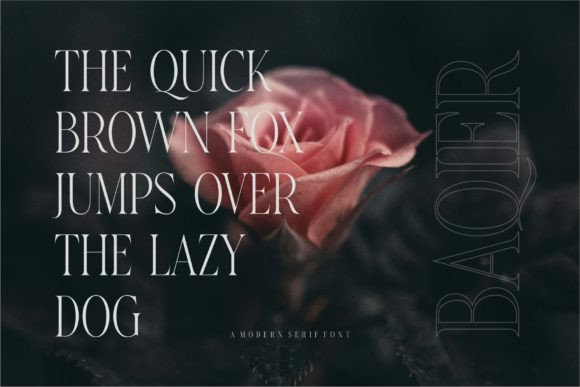 Baqier Font - Preview 4