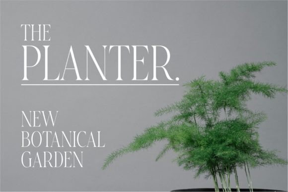 Baqier Font - Preview 5