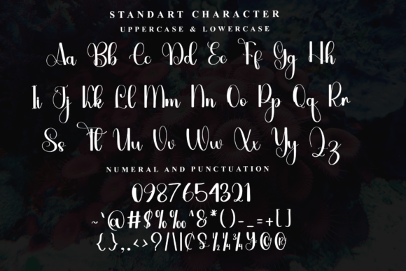 Burger Font - Preview 4