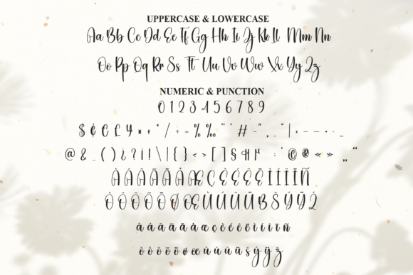 Camelia Font - Preview 6