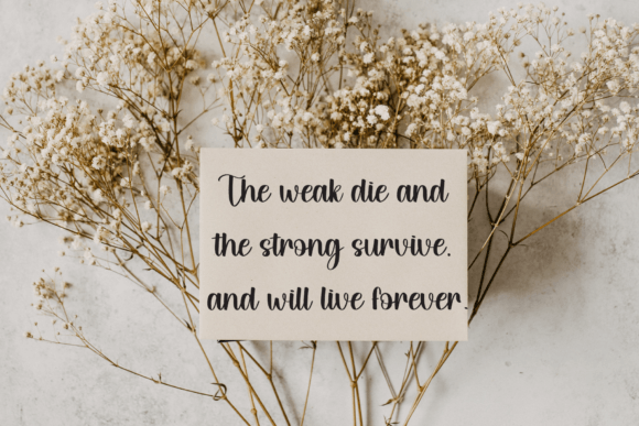 Romantic Moment Font PNG with transparent background - Preview 1