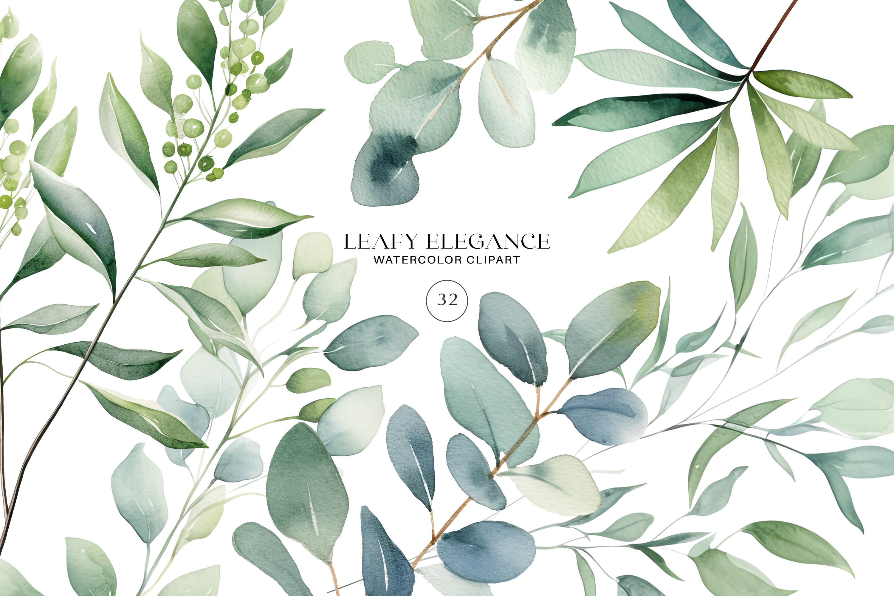 Watercolor Eucalyptus Leaf Clipart Set - photo 1